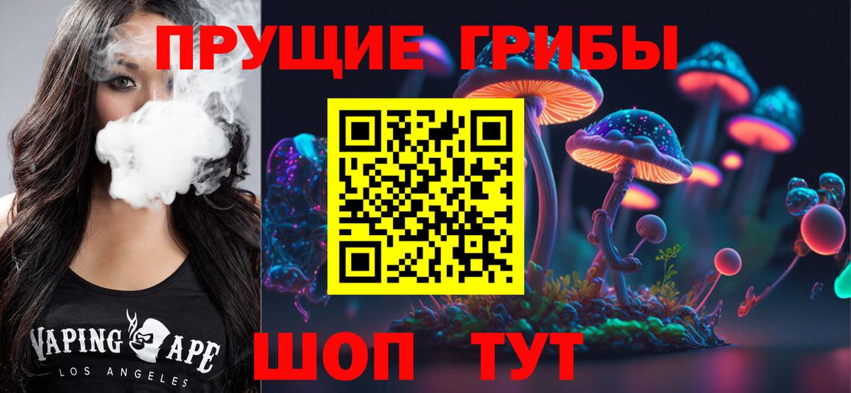 Азнакаево  где найти наркотики  Галлюциногенные грибы GOLDEN TEACHER  Вход с VPN  Псилоцибиновые грибы мицелий 